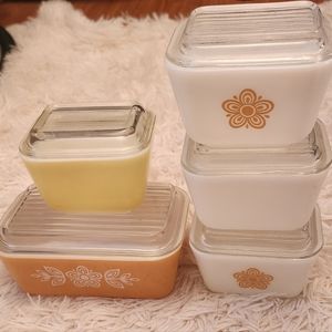 Pyrex refrigerator dishes and covers
